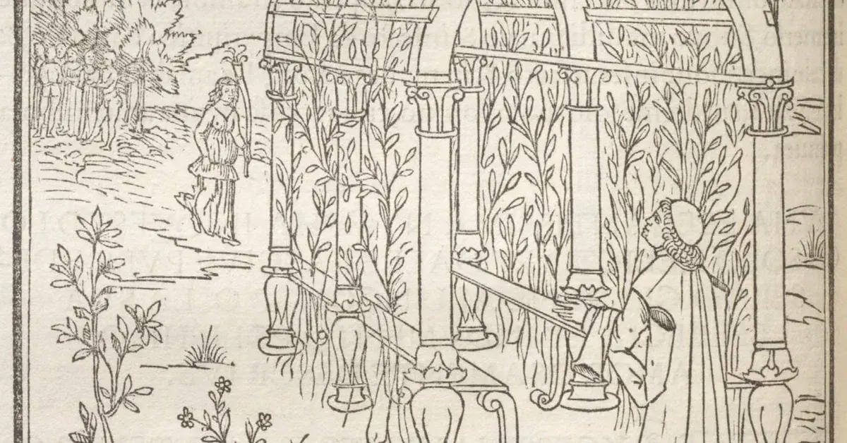 Hypnerotomachia Poliphili 1499 Poliphilo looking thru a bower
